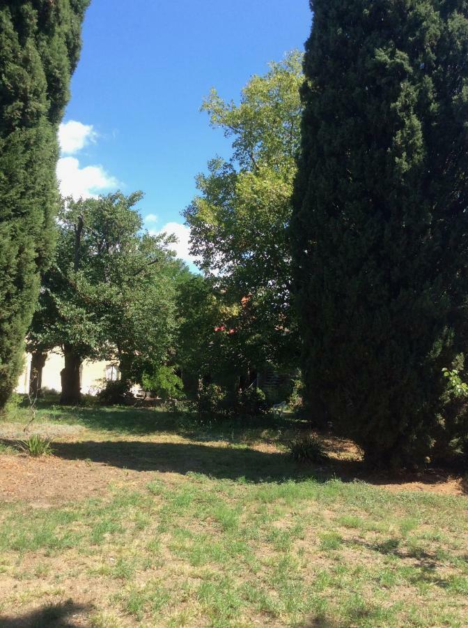 Art Home Bnb Carcassonne Dış mekan fotoğraf