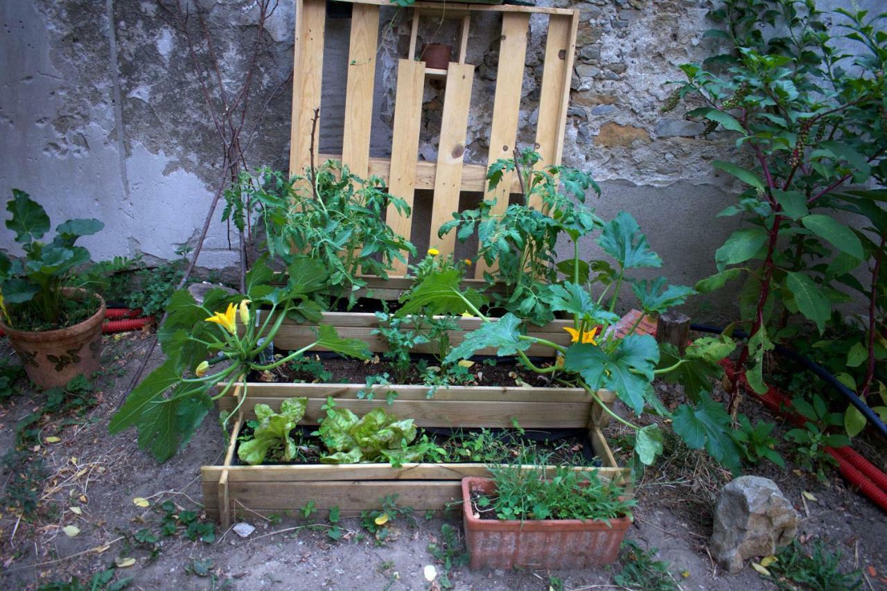 Art Home Bnb Carcassonne Dış mekan fotoğraf